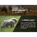 Combing/Carded Yak/Camel / Yak Cashmere Wool Raw Material/Fabric/Textile